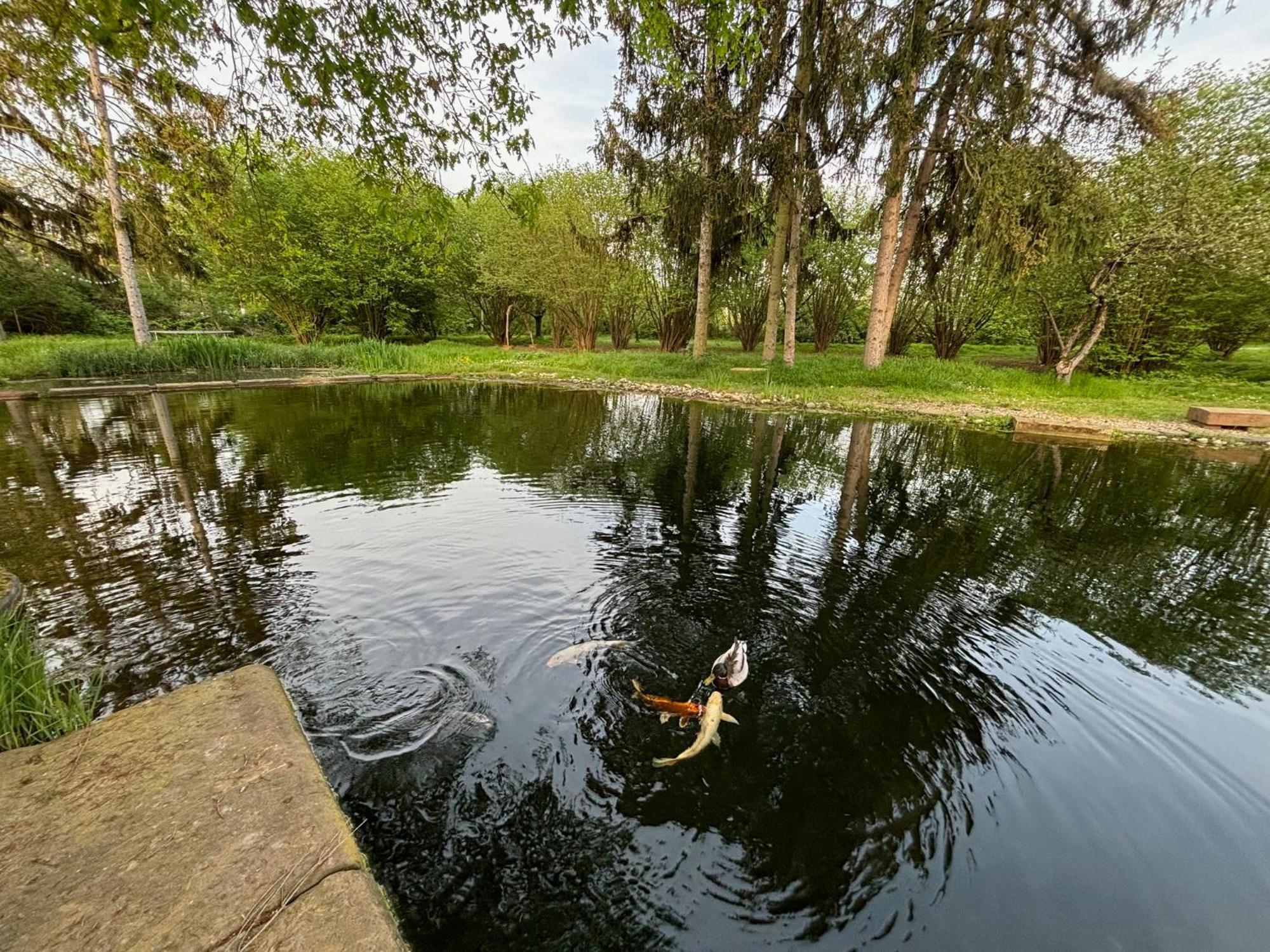 וורמס Datscha Am See מראה חיצוני תמונה