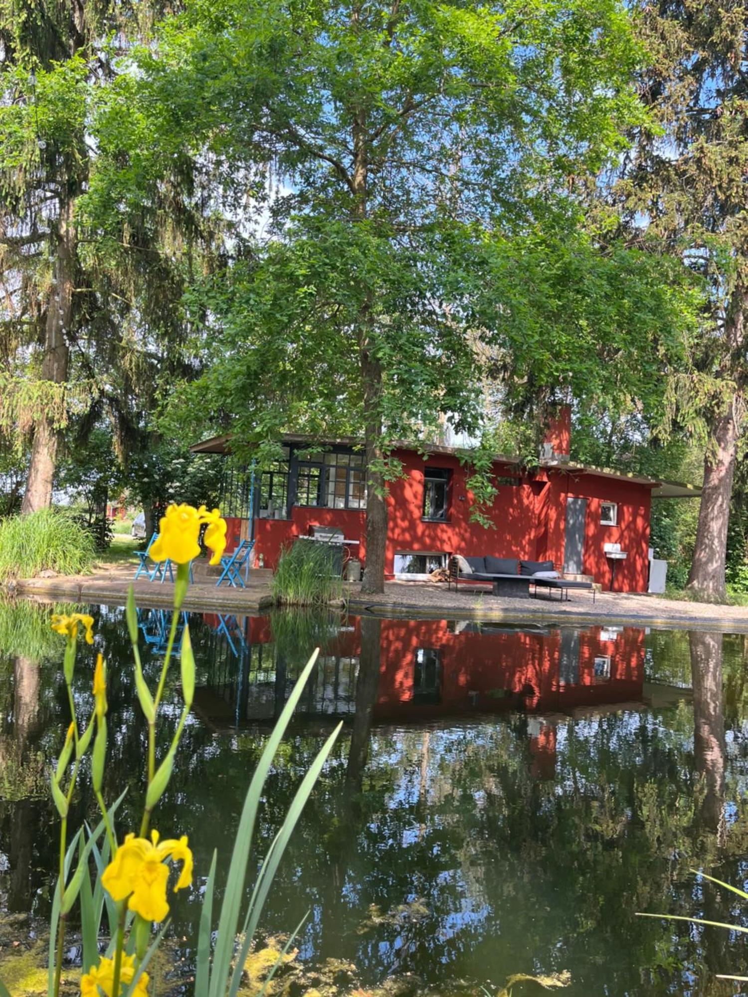 וורמס Datscha Am See מראה חיצוני תמונה